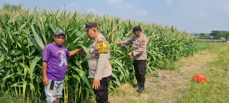 Polisi Sidoarjo Masif Dampingi Petani, Dukung Swasembada Pangan